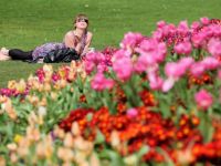 7 cosas importantes que debes saber de la primavera