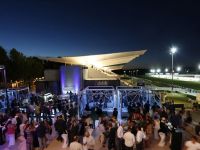 La sacrificada vida de las carreras de caballos