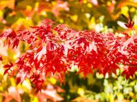 Descubre la crioterapia: la solución a los síntomas del envejecimiento de tu mirada